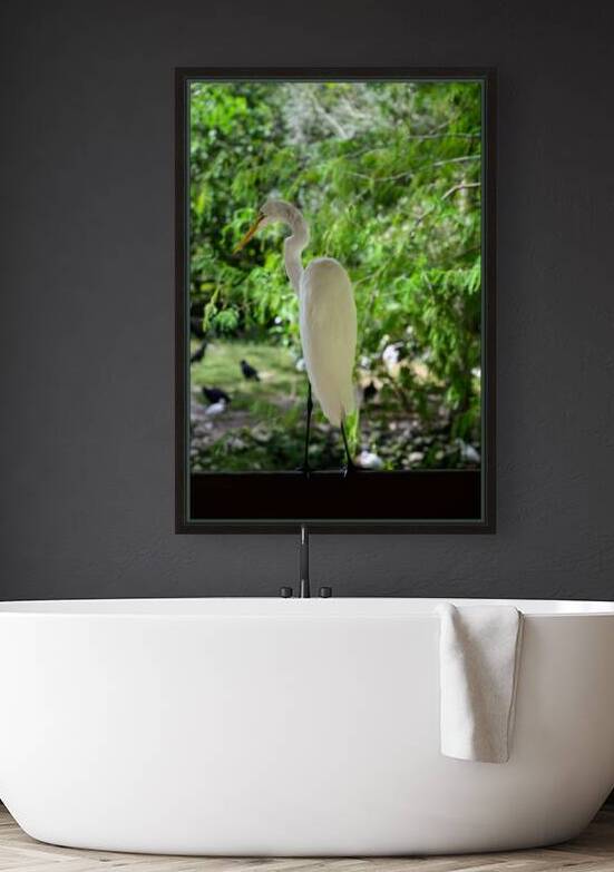 Winged Wonders: A Birdwatchers Delight in Florida by Dream World Images