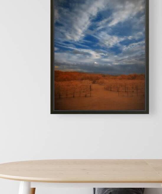 Mystical Arboretum by Dream World Images