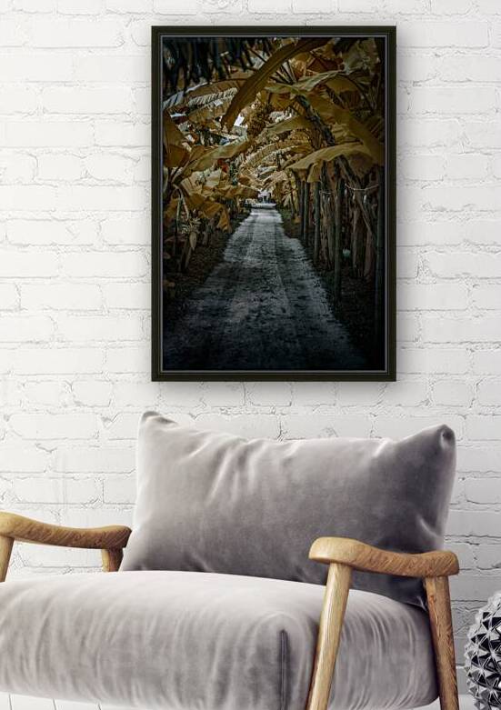 Banana Perspective by Dream World Images