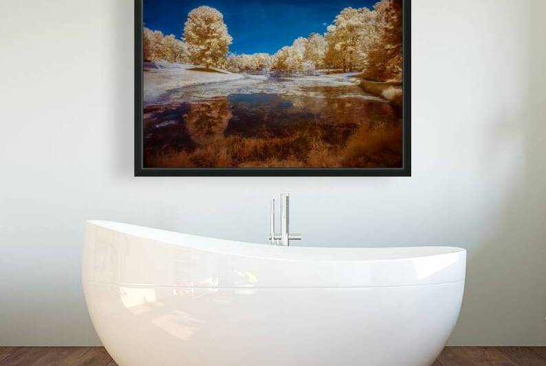 Dreamscape Reflections at Forest Lake by Dream World Images