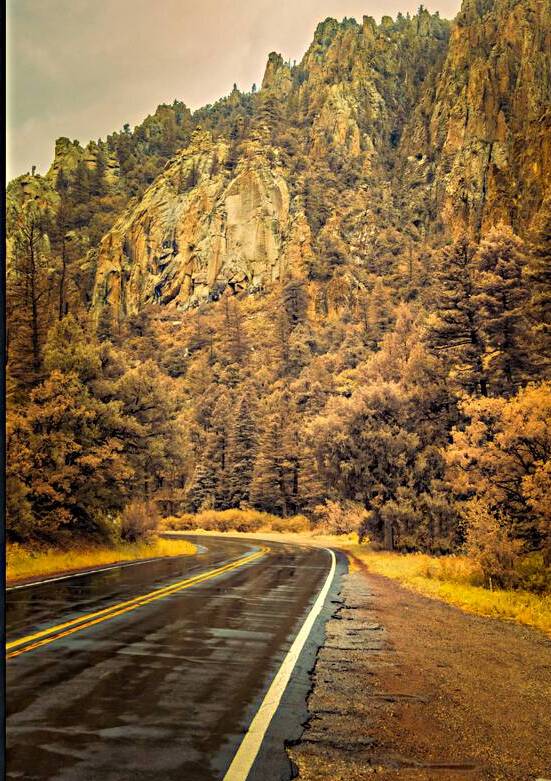 Reflections of a Rain-Kissed Road by Dream World Images