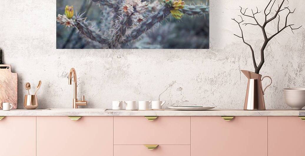 Resilient Beauty of the Desert by Dream World Images