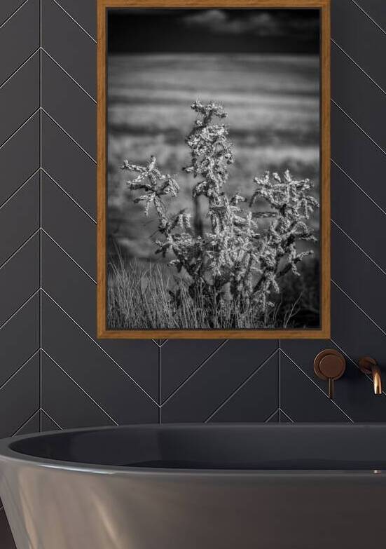 Solitude of Spine by Dream World Images