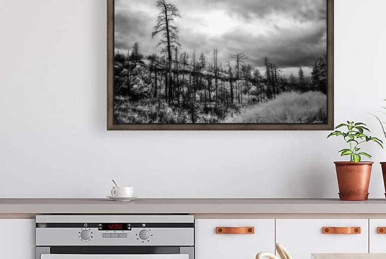 After the Fires Whisper by Dream World Images