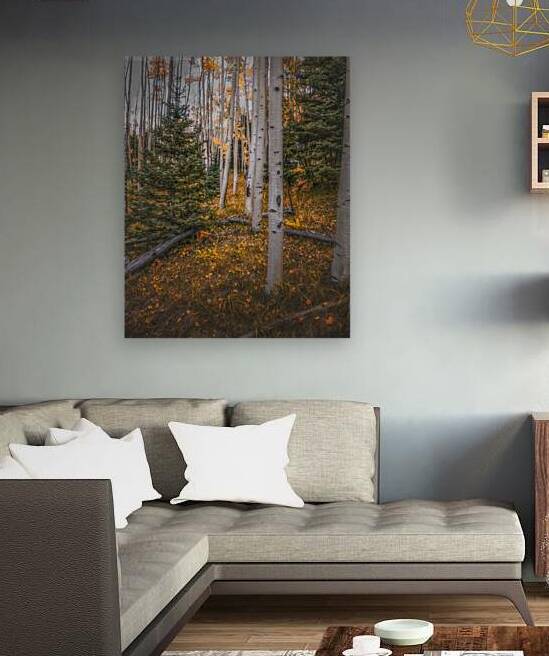 Eternal Transition of the Forest by Dream World Images