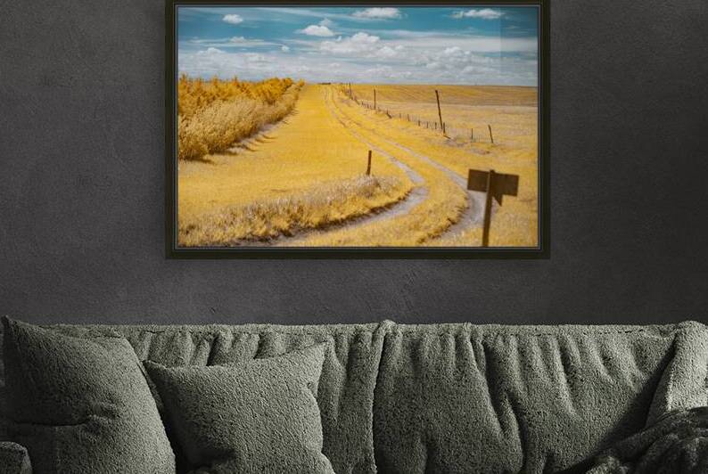 Nebraska Farm Lane - 2 by Dream World Images
