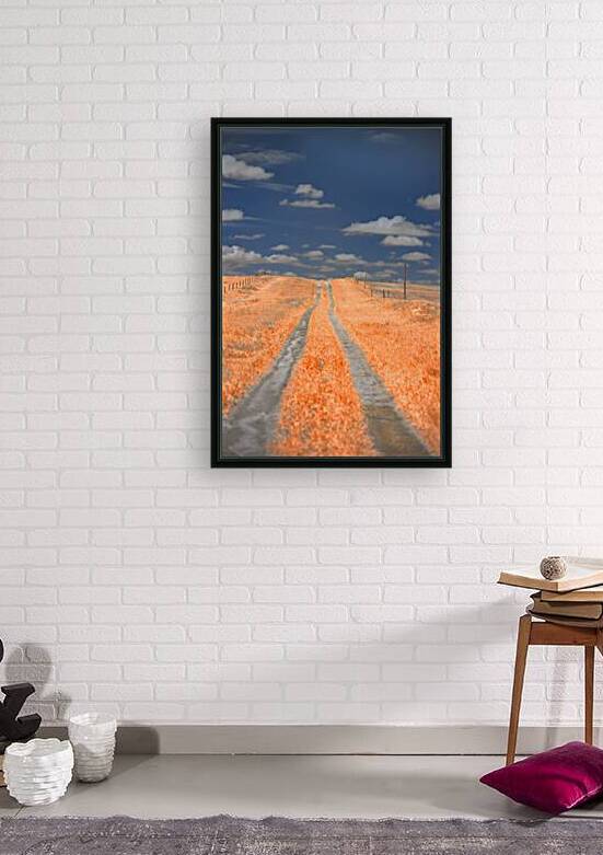 Nebraska Red Farmlane by Dream World Images