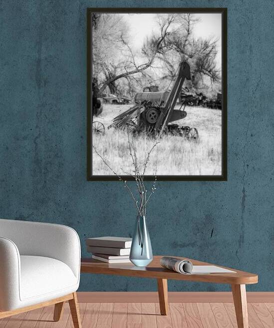 Rustic Relic - Farm Giraffe by Dream World Images