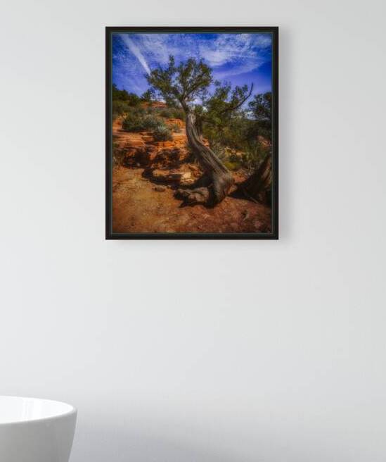 Windswept Harmony of Bark and Sky by Dream World Images