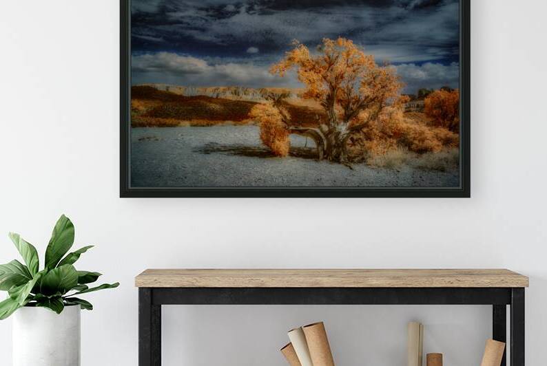 Burnt Tree Symphony in Storm Tinged Skies by Dream World Images