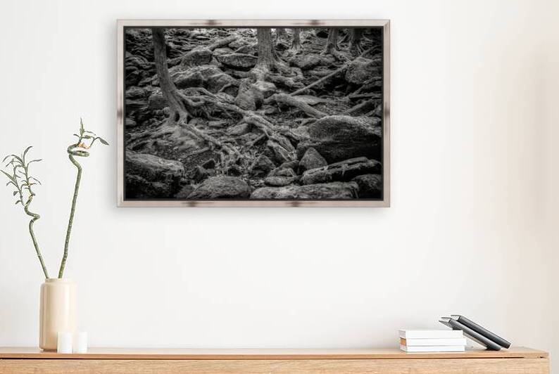 Forest Floor Labyrinth by Dream World Images