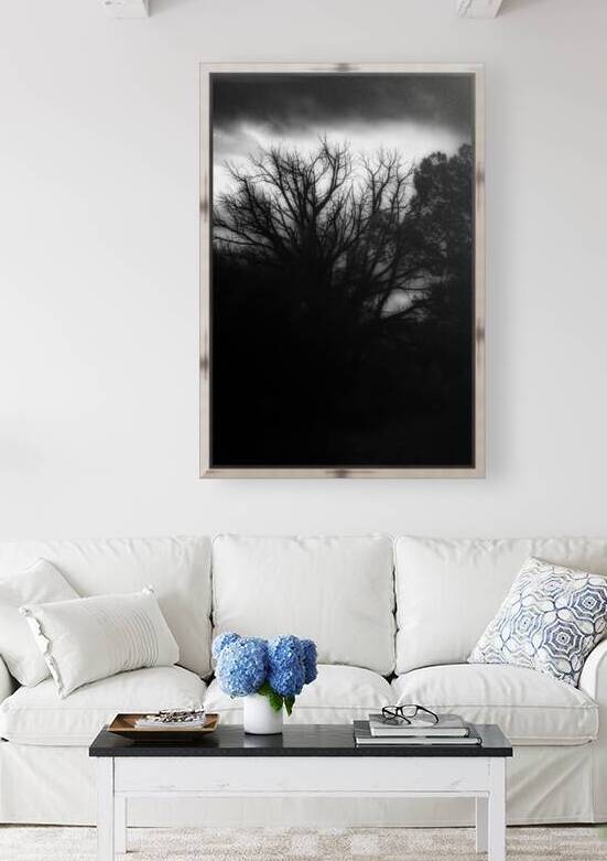 Silhouette of Solitary Majesty by Dream World Images