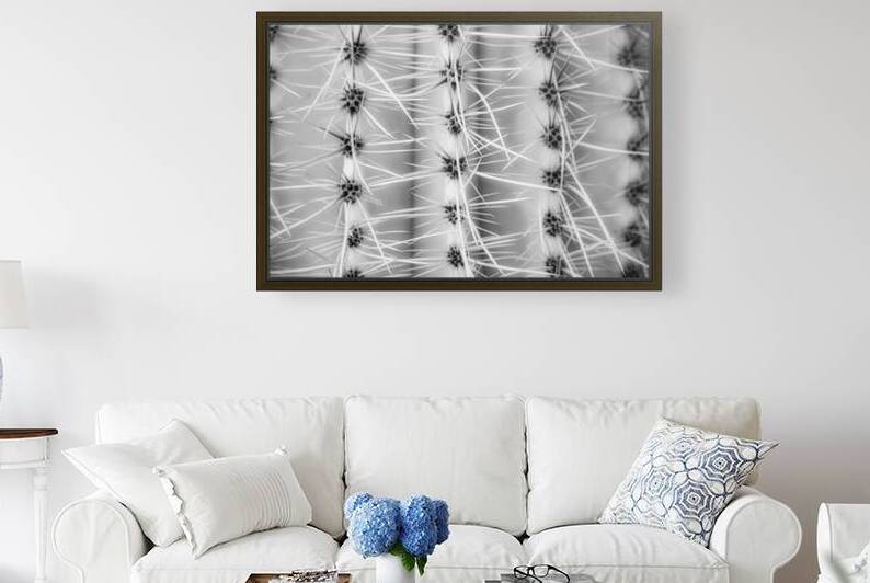 Symmetry in Spine by Dream World Images