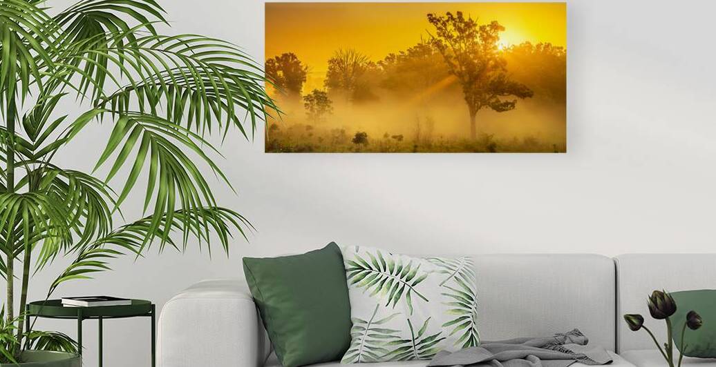 Misty Morning Glow: Dawn in Gettysburg by Dream World Images