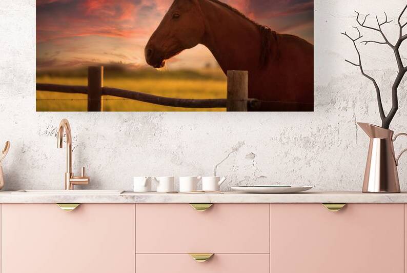 Dreams Beyond the Fence by Dream World Images