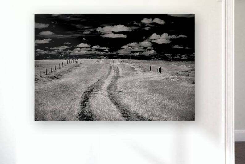 Prairies Eternal Path by Dream World Images