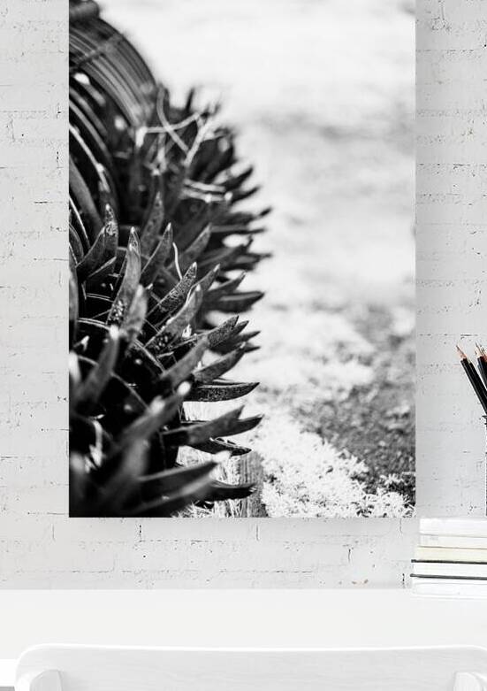 Rustic Relic   Nebraska Death Wheel by Dream World Images