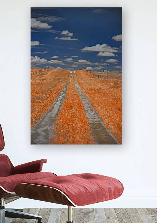Copper Prairie Path by Dream World Images