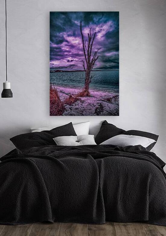 Colorful Dead Beach Tree by Dream World Images