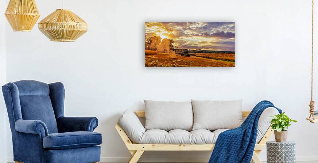 Harvest Gold by Dream World Images