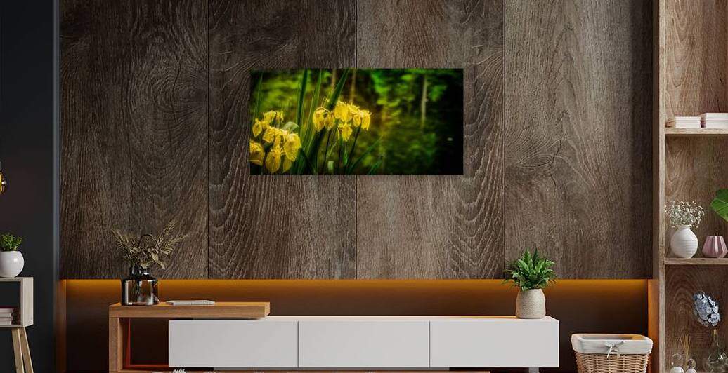 Sun Kissed Blooms: Michaux Forests Yellow Flowers by Small Pond by Dream World Images