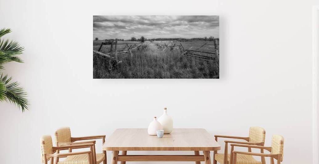 Pastoral Passage: Overgrown farm lane in Gettysburg by Dream World Images