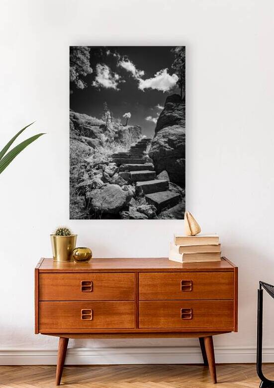 Stairway to Tranquility: Black and White Stairway in Sylvan Lake by Dream World Images