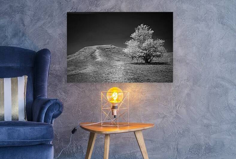 Silent Beauty: Navigating the Badlands with My Companions by Dream World Images