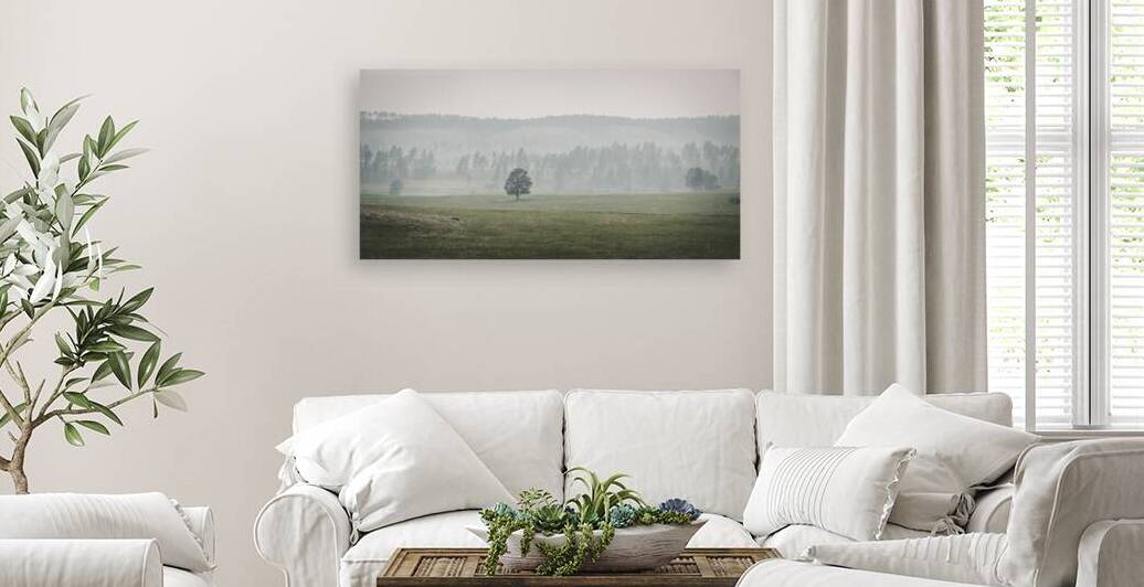 Solitudes Symphony: A Journey Through Custers Wildlife Loop by Dream World Images