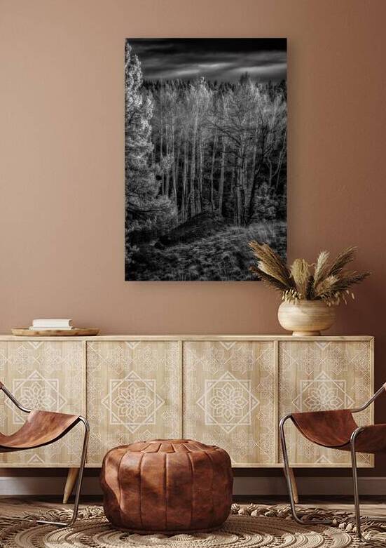 Mueller Aspen Series: Aspen Symphony by Dream World Images