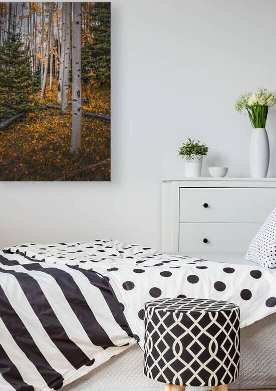 Eternal transition of the forest by Dream World Images