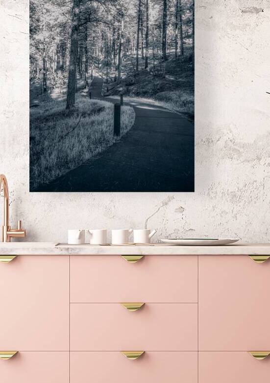 Mount Rushmore: Path Below the Monument in Infrared Magic by Dream World Images