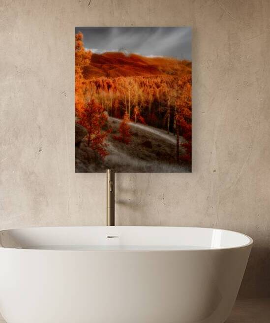 Mueller Aspen Series: Autumns Palette by Dream World Images