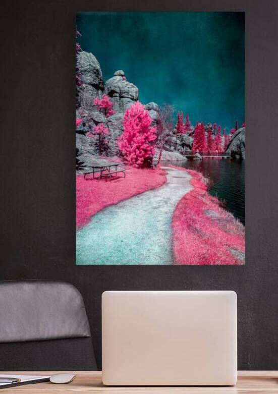 Solitary Trails: Pink Serene Trail by Dream World Images