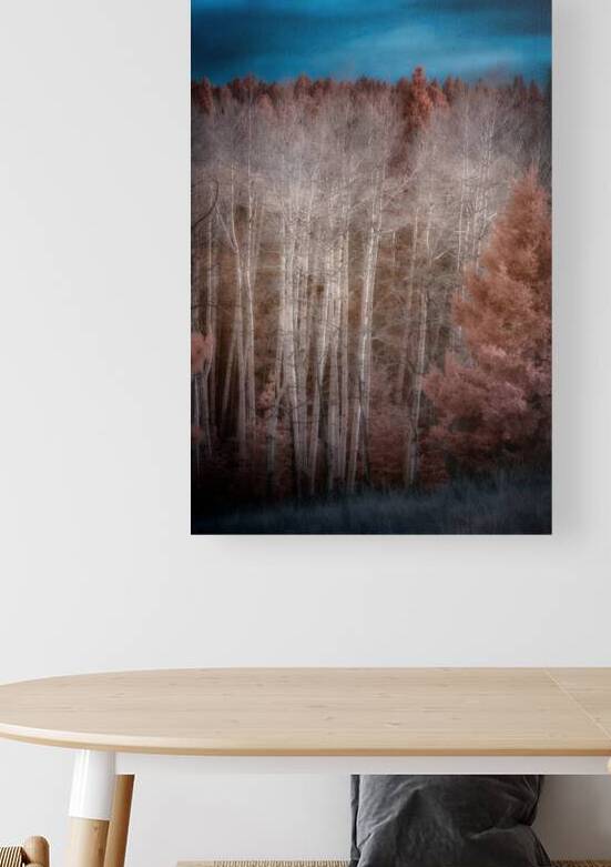 Mueller Aspen Series: Enchanted Woods by Dream World Images