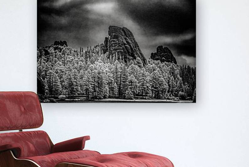 Sylvan Shadows: A Moody Encounter with Natures Drama in Custer  by Dream World Images