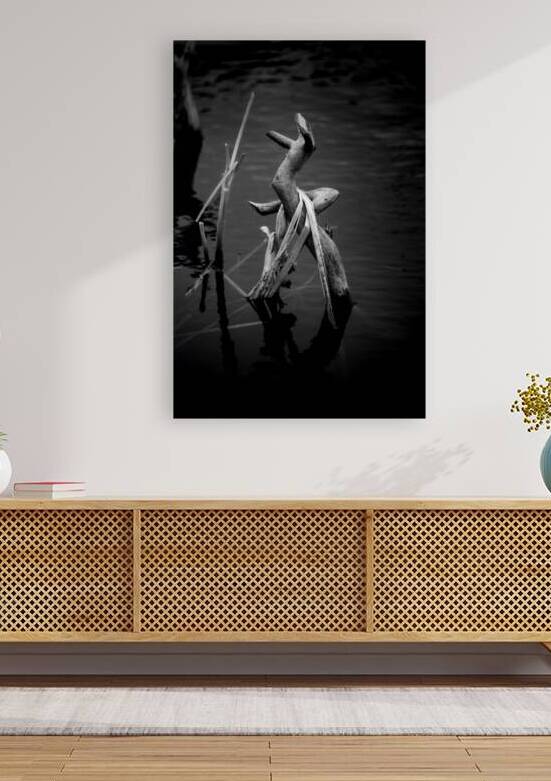 Serene Sylvan Lake: A Tale of Resilience and Reflection by Dream World Images