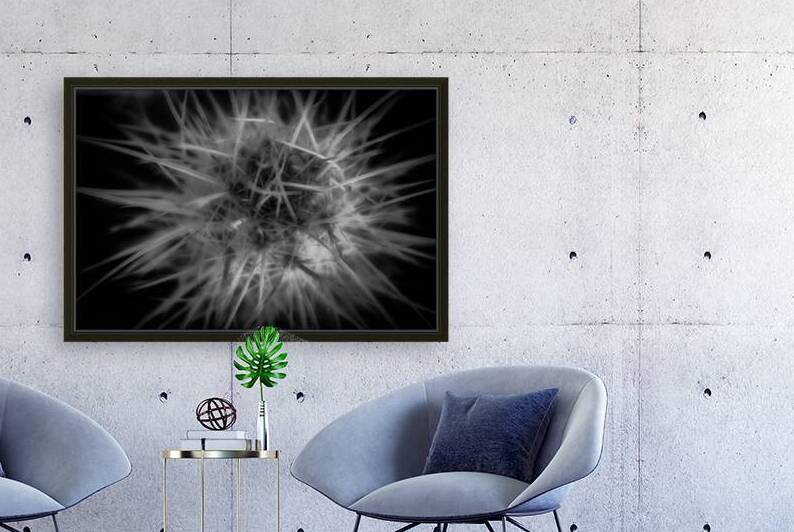 Threading the Needle of Light by Dream World Images