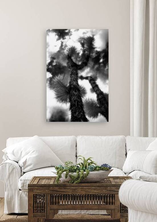 Reaching for the Storms Canopy by Dream World Images