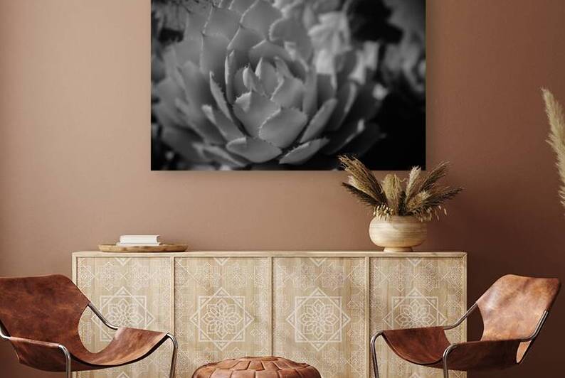 Natures Shadow Ballet by Dream World Images