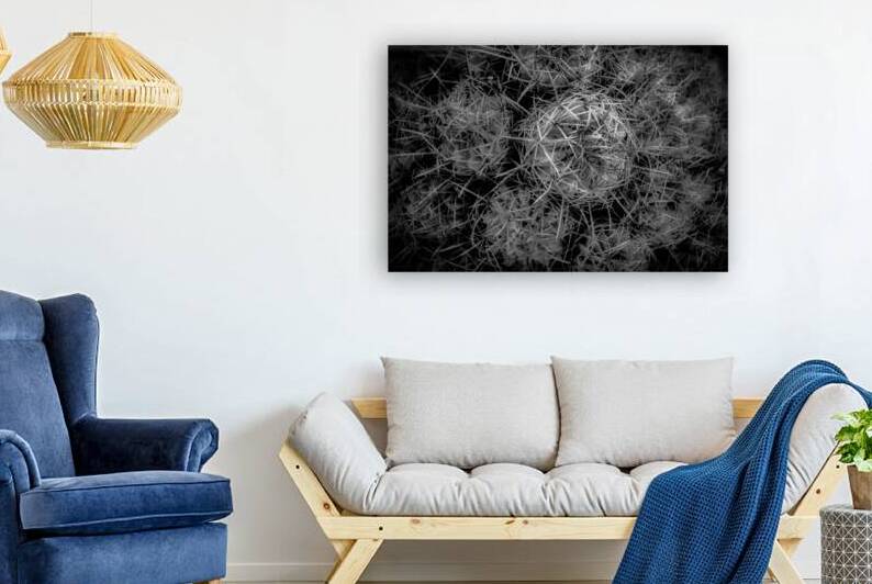 Thorned Harmonics by Dream World Images