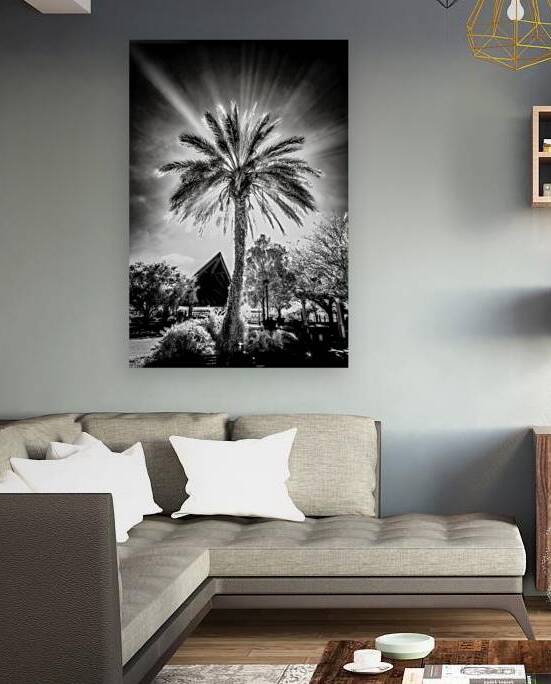 Lighted Palm by Dream World Images