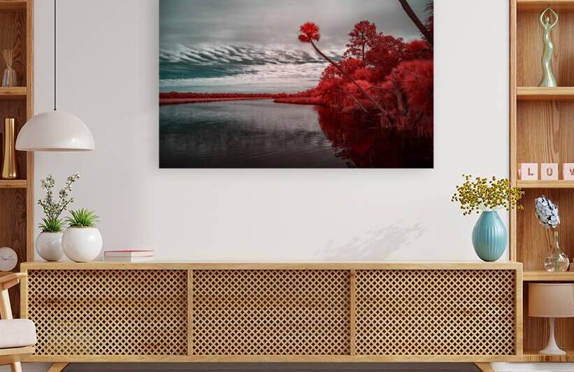 Exploring Bulow Plantation: A Romantic Stroll Reveals a Crimson  by Dream World Images