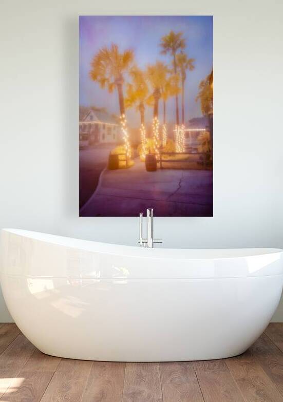 Enchanting Saint Augustine: Palm Trees Aglow with Christmas Magi by Dream World Images