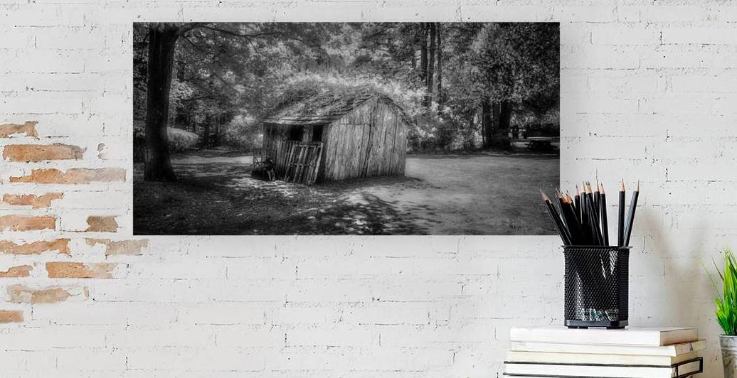 Garden Shack in B&W by Dream World Images