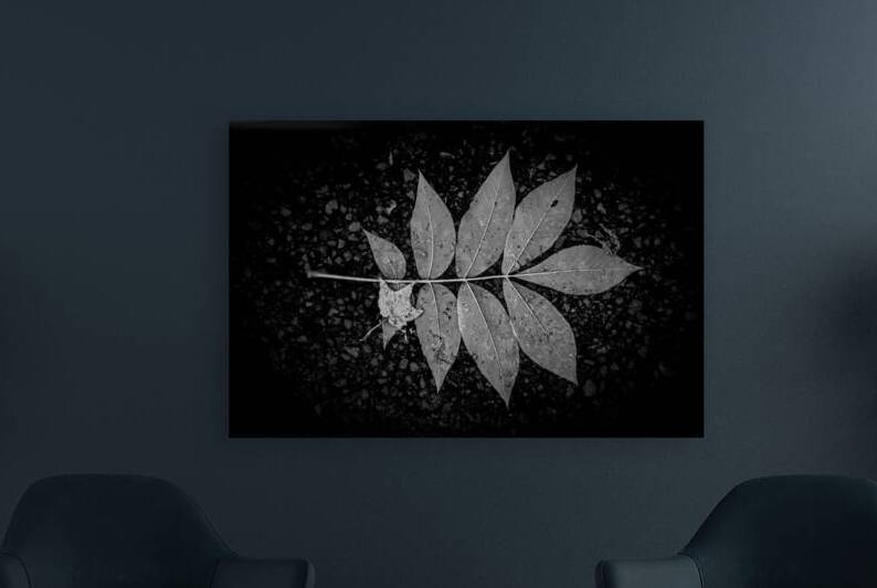 Rainy Day Wonder: Discovering Wishing Leaves at Tims Ford State  by Dream World Images