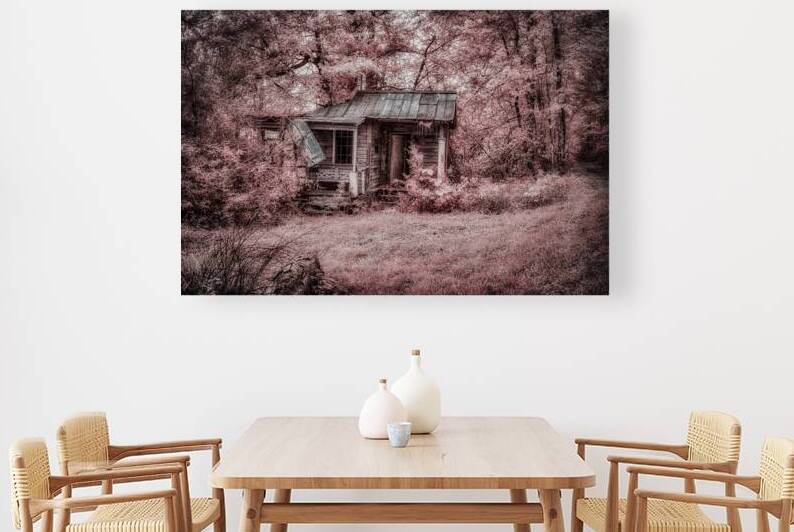 Louisiana Fishing Shack 3 by Dream World Images