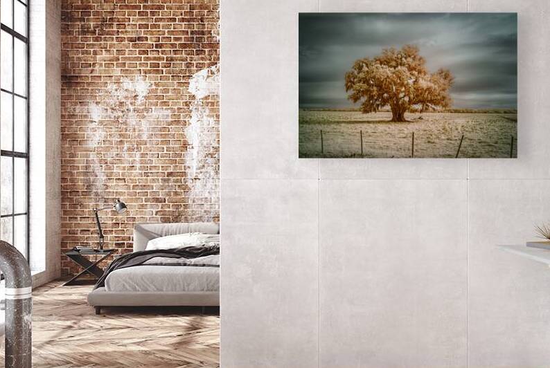 Southern Sentinel: Live Oaks Dream by Dream World Images