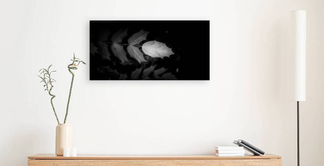 Spotlight on Natures Simplistic Beauty by Dream World Images