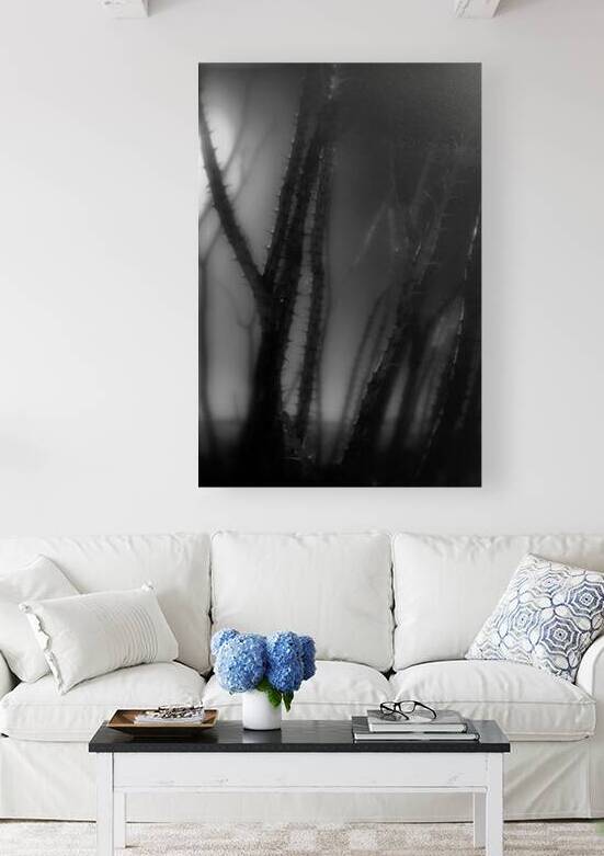 Shadows Weave Through Thorned Spire by Dream World Images